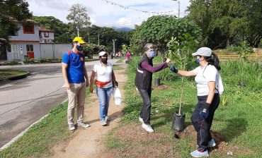 En alianza con nuestras comunidades y las alcaldías, el AMB impulsa la siembra de centenares de árboles para consolidar el corredor biótico y ecológico de Bucaramanga y el área metropolitana