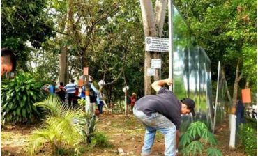 AMB respalda S.O.S. emitido por la comunidad ante el denominado “secuestro” de 53 árboles en el barrio Diamante II