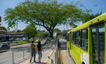 AMB inicia cronograma de visitas para elaborar fichas técnicas de silvicultura urbana a ejemplares forestales postulados por la comunidad, dentro de la campaña ‘100 árboles íconos del área metropolitana’