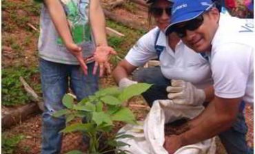 En el Cerro la Cantera de Piedecuesta AMB emprende gran campaña de reforestación