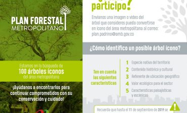 Buscamos 100 árboles icónicos y representativos del área metropolitana de Bucaramanga. Toda la comunidad nos puede ayudar a identificarlos