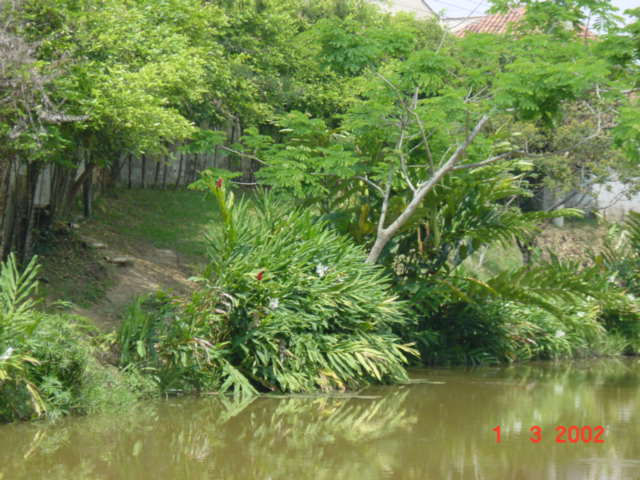 Parques Metropolitanos