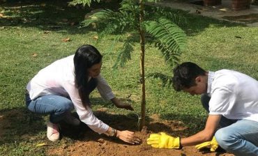 Con siembra de árboles y pedagogía ecológica en los colegios del área metropolitana, este cinco de junio celebramos el Día Mundial del Medio Ambiente