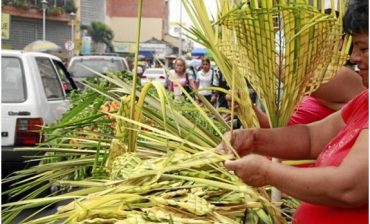 Con operativos en plazas de mercado y sensibilización ciudadana, AMB previene uso de palma de cera en Semana Santa